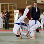 Wiener JIU-JITSU Landesmeisterschaft 2015