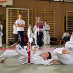 Wiener JIU-JITSU Landesmeisterschaft 2015