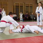 Wiener JIU-JITSU Landesmeisterschaft 2015