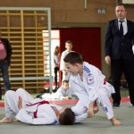 Wiener JIU-JITSU Landesmeisterschaft 2015