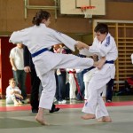 Wiener JIU-JITSU Landesmeisterschaft 2015