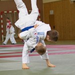 Wiener JIU-JITSU Landesmeisterschaft 2015