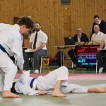 Wiener JIU-JITSU Landesmeisterschaft 2015