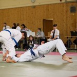 Wiener JIU-JITSU Landesmeisterschaft 2015