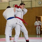 Wiener JIU-JITSU Landesmeisterschaft 2015