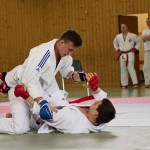 Wiener JIU-JITSU Landesmeisterschaft 2015