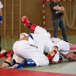 Wiener JIU-JITSU Landesmeisterschaft 2015