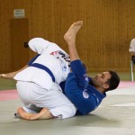 Wiener JIU-JITSU Landesmeisterschaft 2015