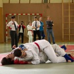 Wiener JIU-JITSU Landesmeisterschaft 2015