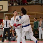 Wiener JIU-JITSU Landesmeisterschaft 2015