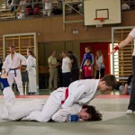 Wiener JIU-JITSU Landesmeisterschaft 2015