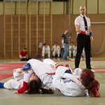 Wiener JIU-JITSU Landesmeisterschaft 2015