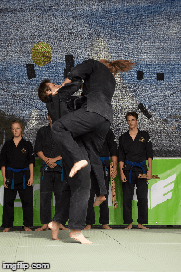 Jiu Jitsu am Tag des Sports 2015 am Wiener Heldenplatz