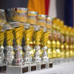 15. Vienna Open 2015 in der Hopsagasse 7, 1220 Wien. 607 Starter, 56 Vereine aus 15 Ländern