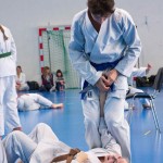 1. Wien-Tag des Karate Landesverbandes