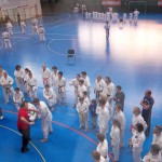 1. Wien-Tag des Karate Landesverbandes