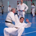 1. Wien-Tag des Karate Landesverbandes