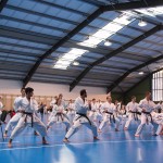 1. Wien-Tag des Karate Landesverbandes