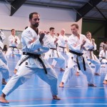 1. Wien-Tag des Karate Landesverbandes