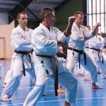 1. Wien-Tag des Karate Landesverbandes