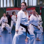 1. Wien-Tag des Karate Landesverbandes