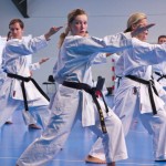 1. Wien-Tag des Karate Landesverbandes