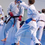 1. Wien-Tag des Karate Landesverbandes