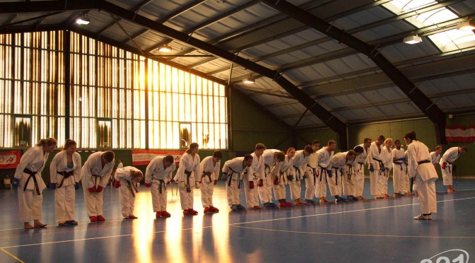 1. Wien-Tag des Karate Landesverbandes