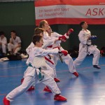 1. Wien-Tag des Karate Landesverbandes