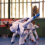 1. Wien-Tag des Karate Landesverbandes