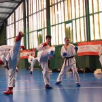 1. Wien-Tag des Karate Landesverbandes