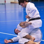 1. Wien-Tag des Karate Landesverbandes