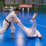 1. Wien-Tag des Karate Landesverbandes