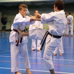 1. Wien-Tag des Karate Landesverbandes