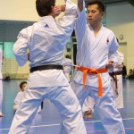 1. Wien-Tag des Karate Landesverbandes