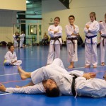 1. Wien-Tag des Karate Landesverbandes