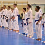 1. Wien-Tag des Karate Landesverbandes