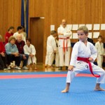 des "Shiai Karate Do" Vereins Wien