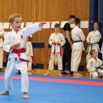 des "Shiai Karate Do" Vereins Wien