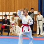 des "Shiai Karate Do" Vereins Wien