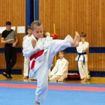 des "Shiai Karate Do" Vereins Wien