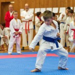 des "Shiai Karate Do" Vereins Wien