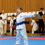 des "Shiai Karate Do" Vereins Wien