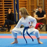 des "Shiai Karate Do" Vereins Wien