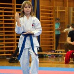 des "Shiai Karate Do" Vereins Wien