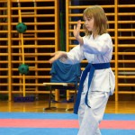 des "Shiai Karate Do" Vereins Wien