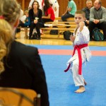 des "Shiai Karate Do" Vereins Wien