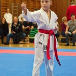 des "Shiai Karate Do" Vereins Wien