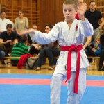 des "Shiai Karate Do" Vereins Wien