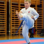 des "Shiai Karate Do" Vereins Wien